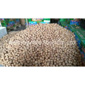 Wholesale Xinjiang Walnut Price Cheap Walnut in Shell